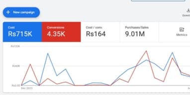 Generated Millions in Sales through Google Ads