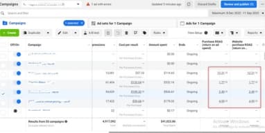 19.65x ROAS for E-Commerce Business